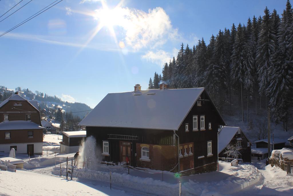 Апартаменти Ferienhaus Anno Dazumal, Wie Zu Oma'S Zeiten Клінґенталь Номер фото