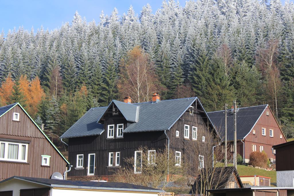 Апартаменти Ferienhaus Anno Dazumal, Wie Zu Oma'S Zeiten Клінґенталь Екстер'єр фото