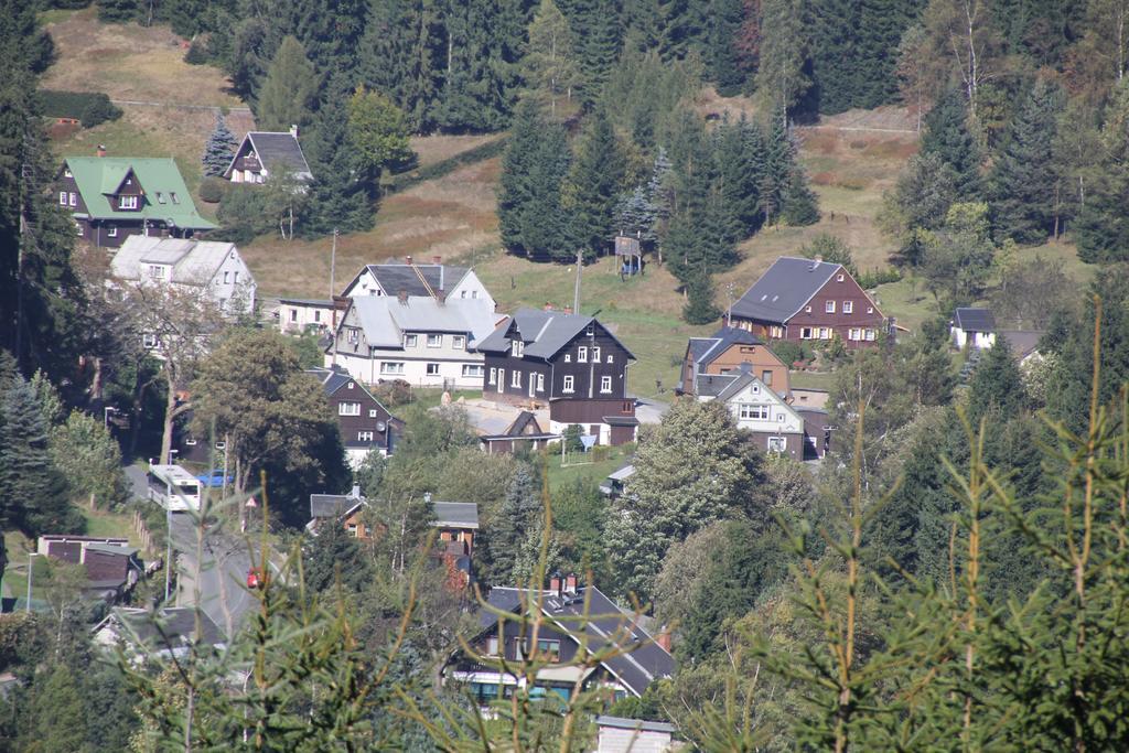 Апартаменти Ferienhaus Anno Dazumal, Wie Zu Oma'S Zeiten Клінґенталь Номер фото