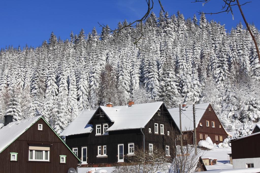 Апартаменти Ferienhaus Anno Dazumal, Wie Zu Oma'S Zeiten Клінґенталь Екстер'єр фото