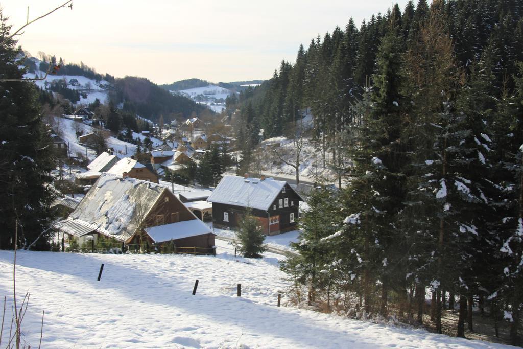 Апартаменти Ferienhaus Anno Dazumal, Wie Zu Oma'S Zeiten Клінґенталь Номер фото