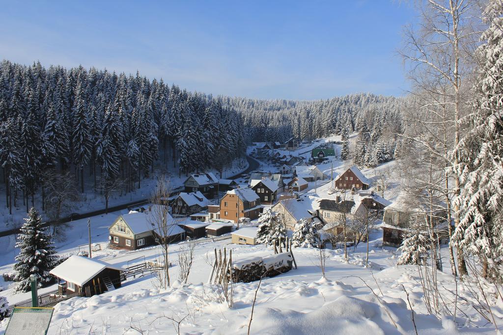 Апартаменти Ferienhaus Anno Dazumal, Wie Zu Oma'S Zeiten Клінґенталь Номер фото